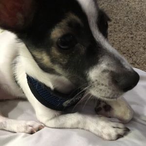 Meet your Posher, Kay